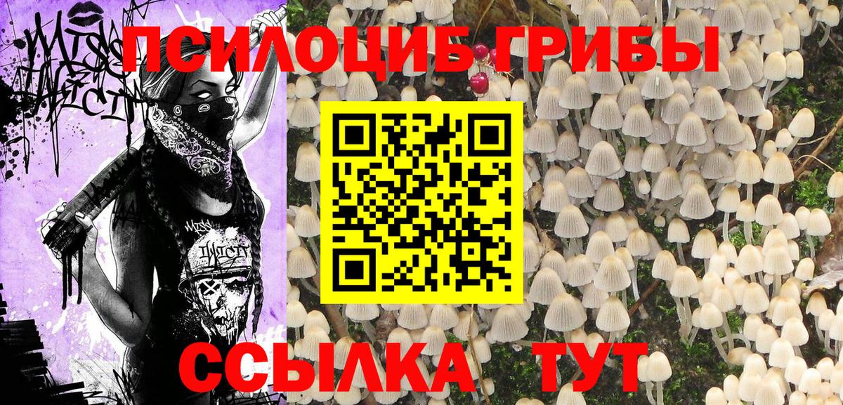 даркнет сайт  Вход с VPN  Сокол  Галлюциногенные грибы мухоморы  Псилоцибиновые грибы мухоморы 
