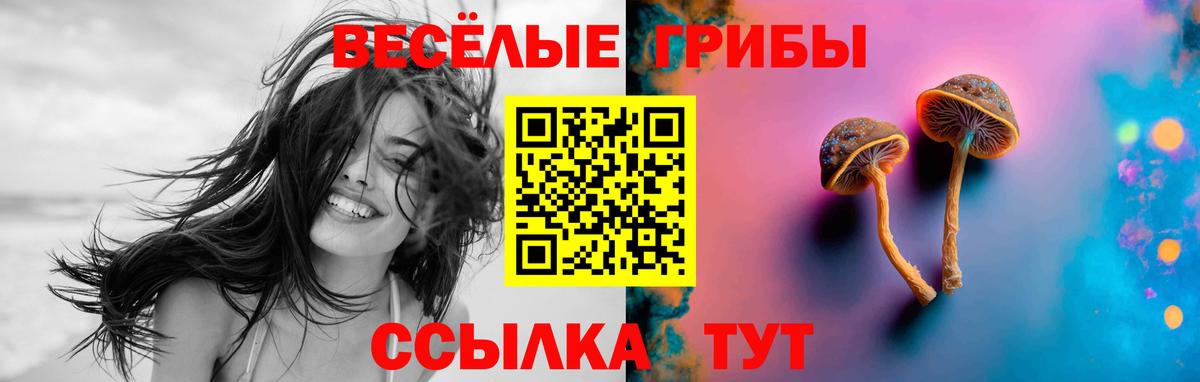 Псилоцибиновые грибы прущие грибы Сокол